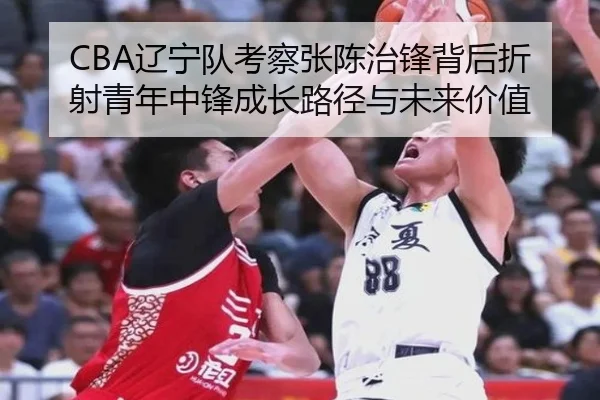 CBA辽宁队考察张陈治锋背后折射青年中锋成长路径与未来价值 | kaiyun